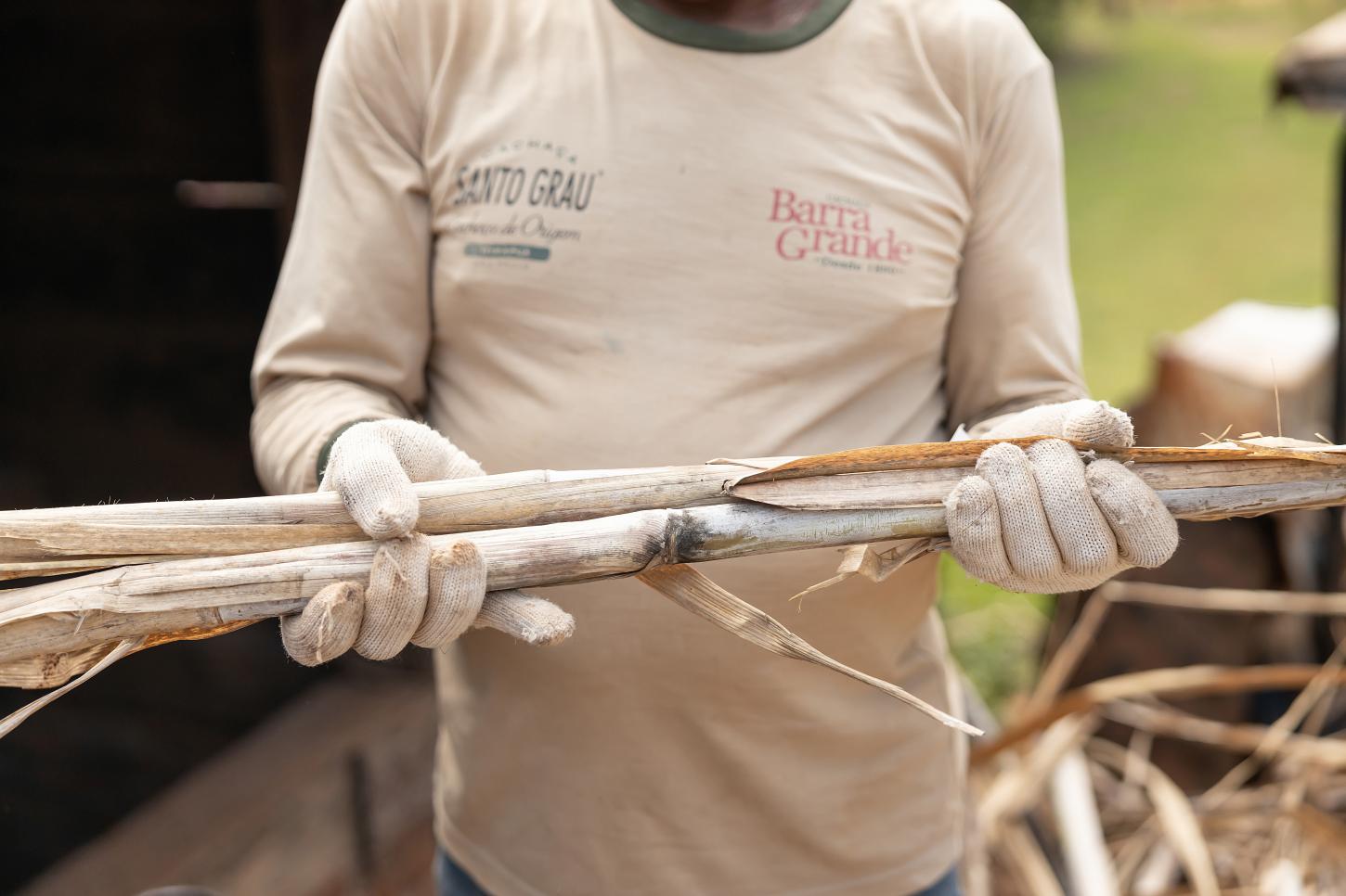 Fazenda ganha certificação estadual por produção de cana de açúcar sustentável