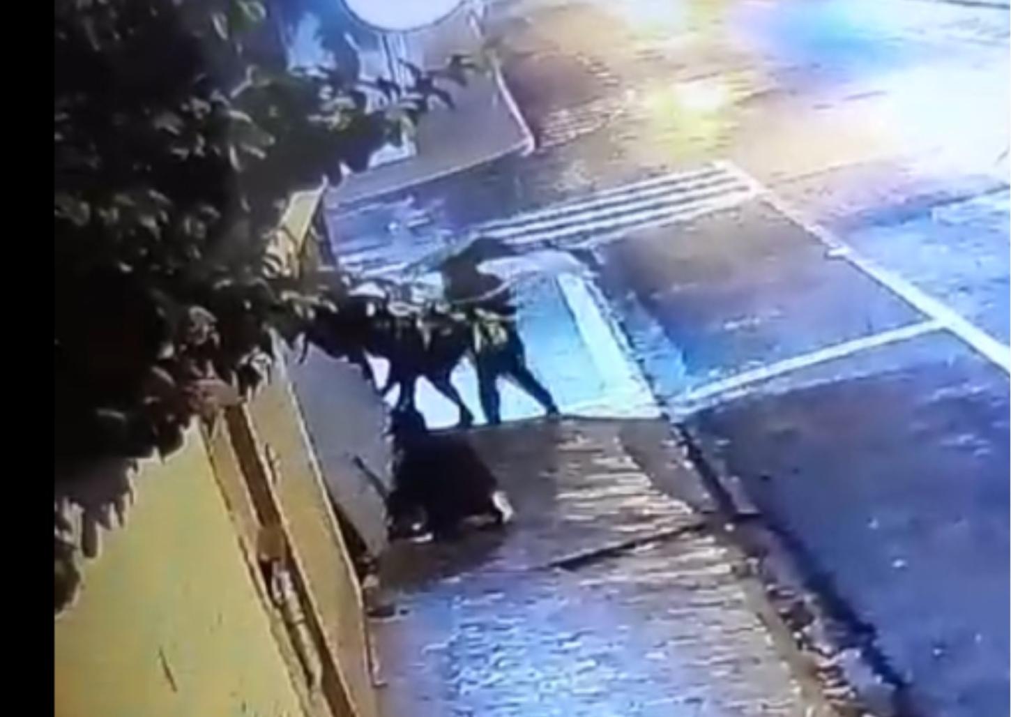 Câmera flagra invasão seguida de furto em residência na Vila Aparecida