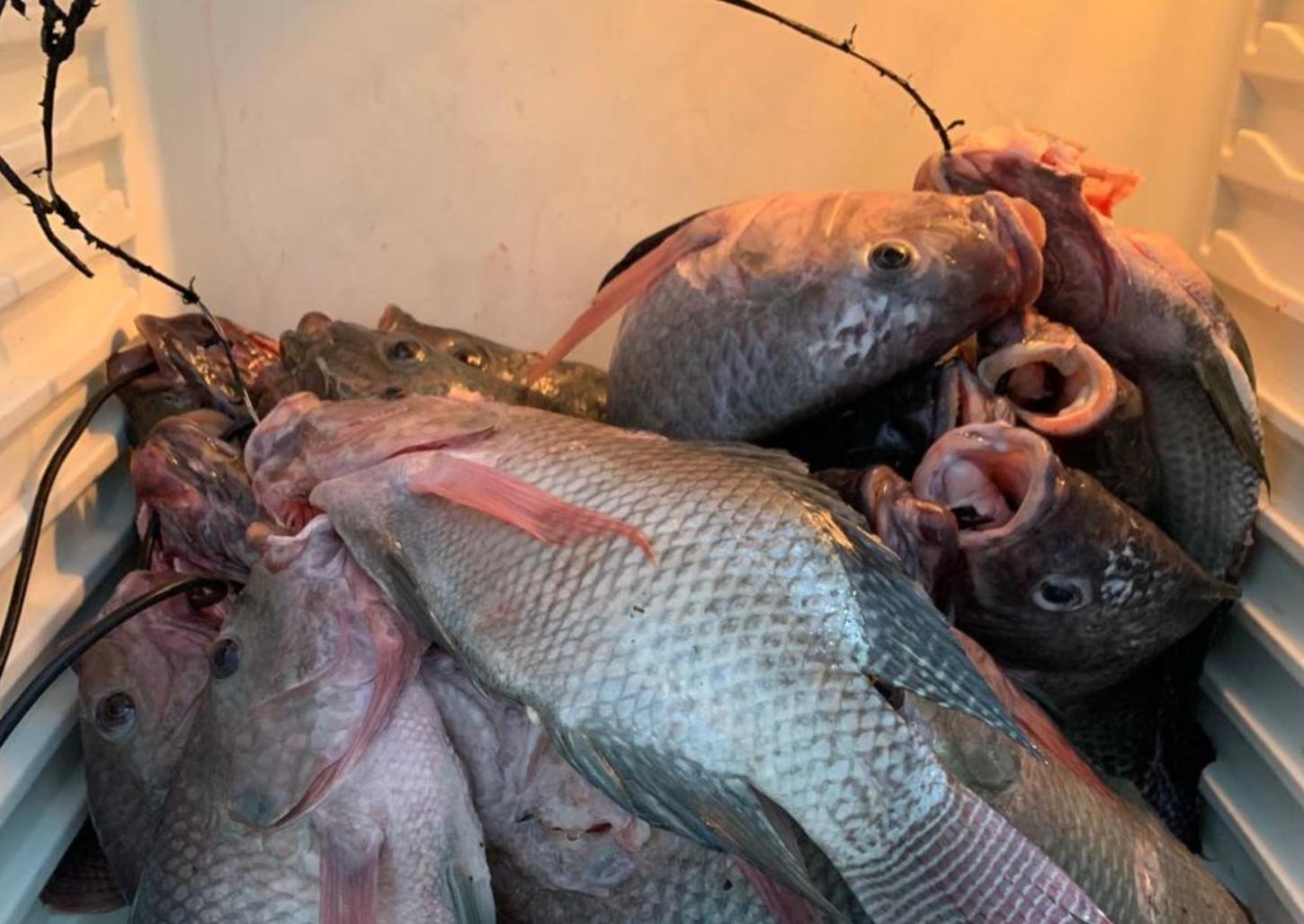 Adolescentes são detidos pela PM Ambiental praticando pesca ilegal