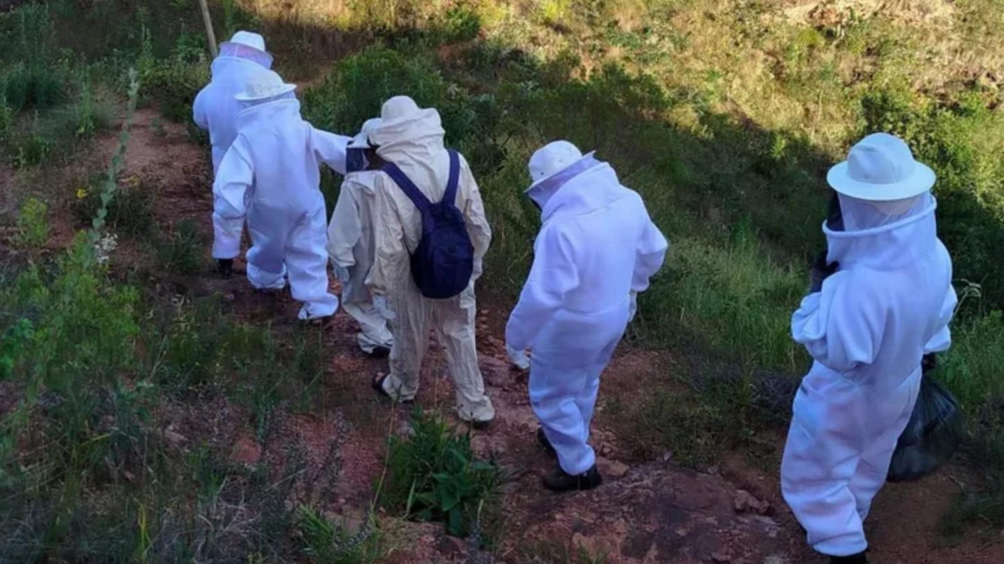 Turistas são resgatados pelo Corpo de Bombeiros após ataque de abelhas