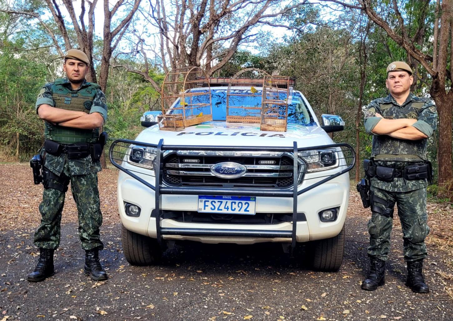Homem é multado por manter canários em cativeiro irregular