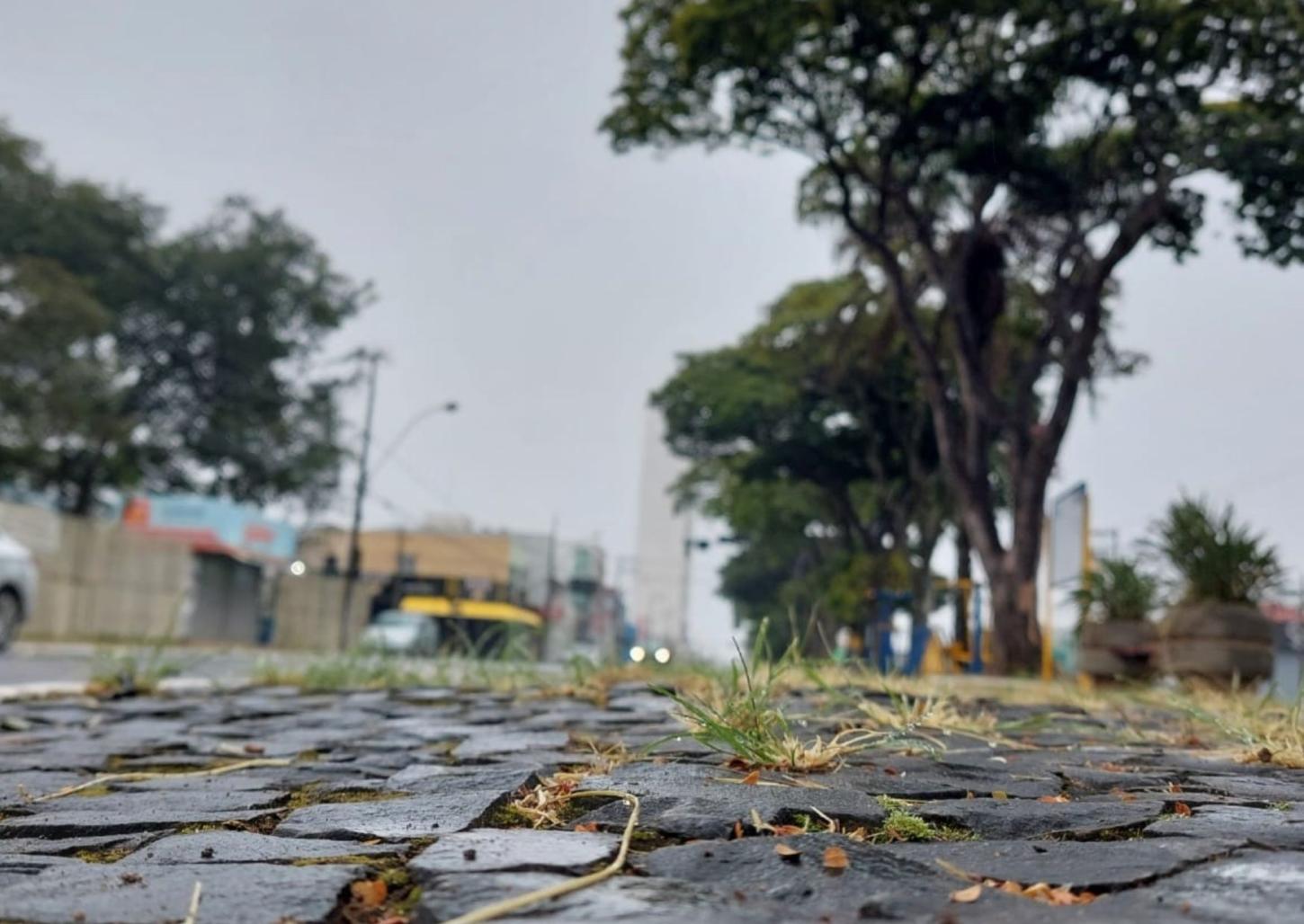 Semana começa com neblina em Franca; há previsão de chuva
