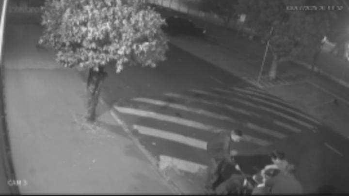 Mulher usa cadarço de tênis para salvar cachorro de ataque de Pitbull