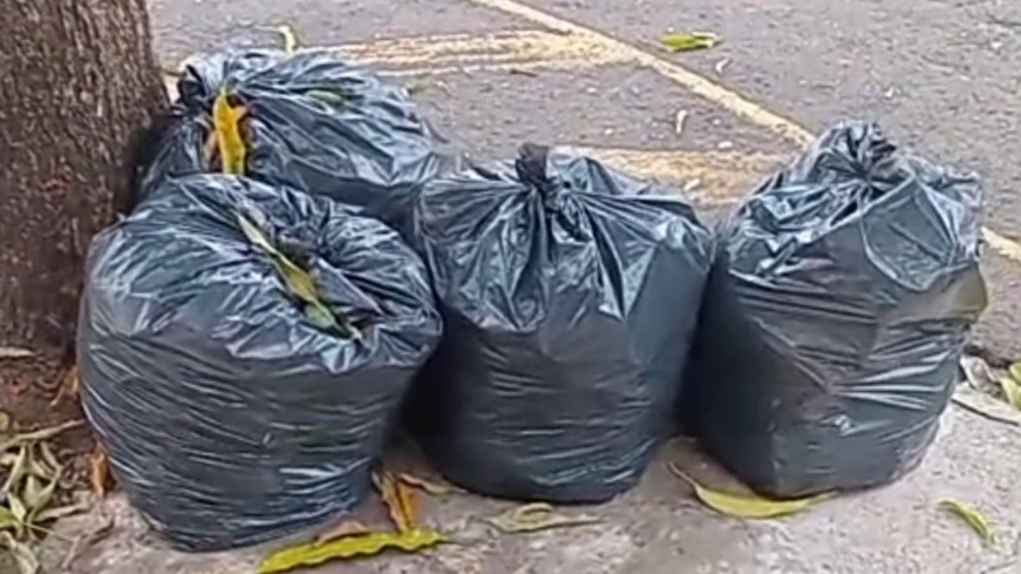 Morador do Jardim Pinheiros denuncia falha na coleta de lixo