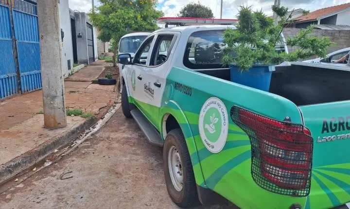 Homem é detido pela PM com 14 pés de maconha em Itirapuã