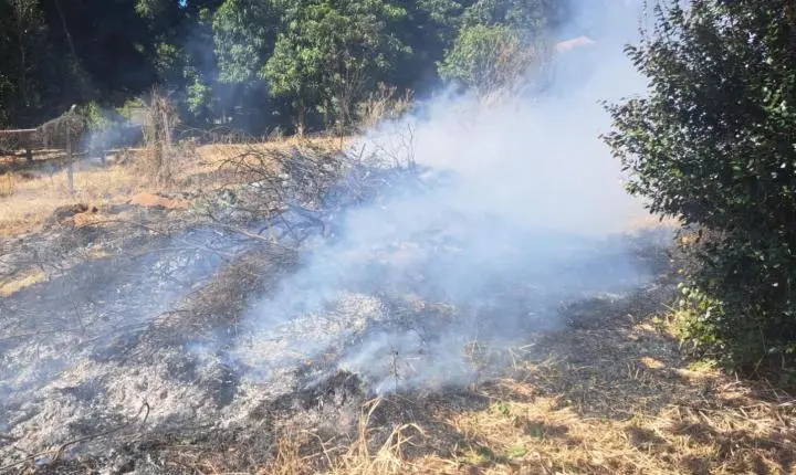 Homem é multado em R$ 13 mil por queimar madeira e causar fumaça 